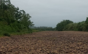 Rio que abastece Turvo seca e deixa população em alerta