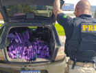 Itajaí: PRF localiza 384 quilos de maconha na BR-101
