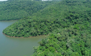 SC foi o estado que mais reduziu o desmatamento da mata atlântica
