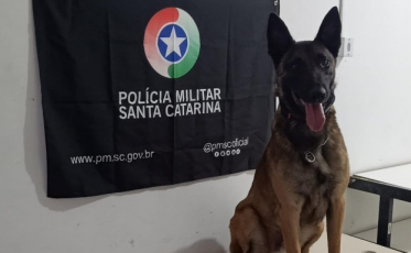 Traficante é preso em kitnet usada para armazenamento de drogas