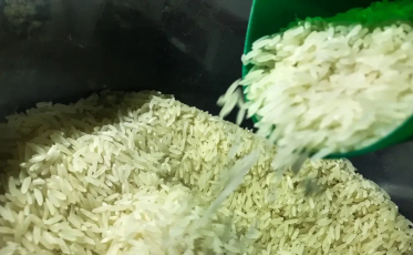Governo anula leilão para compra de arroz importado 