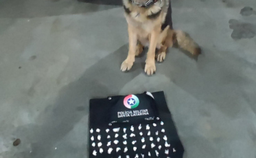 Polícia Militar realiza apreensão de drogas em Criciúma