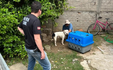 Polícia prende homem por maus-tratos a cão em Laguna