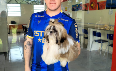 Eleições 2024: Pets na eleição: pode ou não pode?