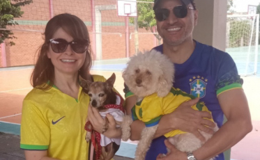 Eleições 2024: Pets na eleição: pode ou não pode?