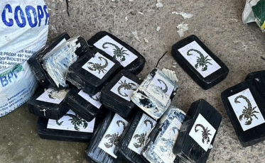 Mais de meia tonelada de cocaína e pasta base são apreendidos em SC