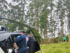 Homem é resgatado de helicóptero após cair de árvore