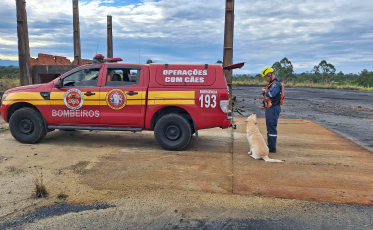 Atualização: Buscas por idoso desaparecido são retomadas pelos Bombeiros