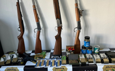 Denúncia de violência doméstica leva polícia a apreender arsenal de armas