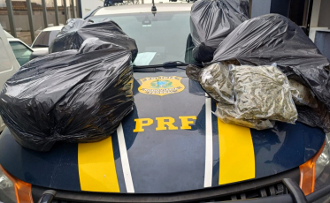 Polícia apreende quase 50 quilos de skunk com homem em Imbituba