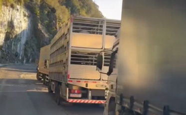 [Vídeo] Caminhões congestionados na Serra do Rio do Rastro