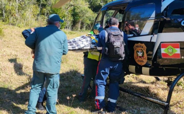 Homem é hospitalizado após ser atingido por árvore