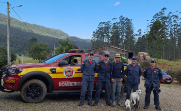 Cão é resgatado após 11 dias desaparecido