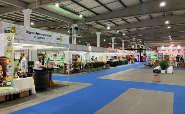 AgroPonte 2025 movimenta Criciúma com atrações para toda a família