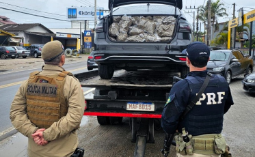 Delegado acredita em corredor de drogas entre Brasil e Uruguai após apreensões de skunk