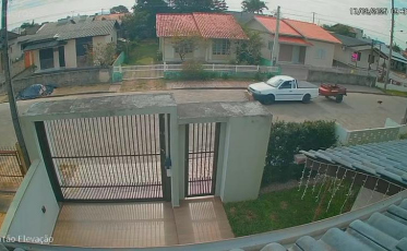 Atropelamento de cachorro vira caso de polícia em Araranguá 