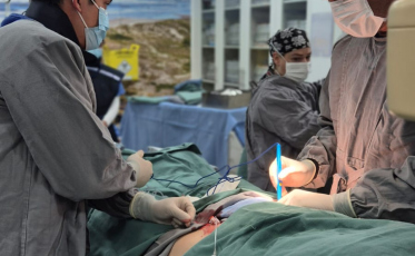 Hospital Dom Joaquim implanta primeira válvula aórtica transcateter pelo SUS