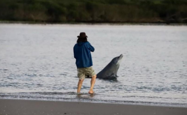 [Áudio] Botos voltam a aparecer na foz do Rio Araranguá