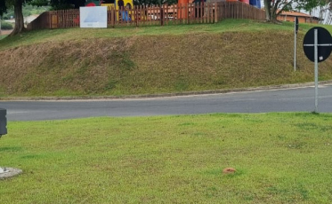 Rádio Som Maior celebra 33 anos de Sangão com programa especial