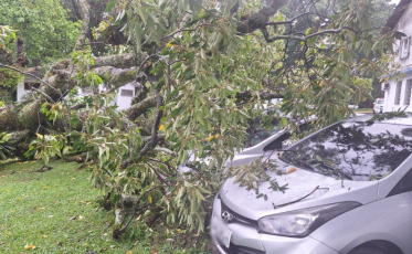 Árvore cai e atinge dois carros no Hospital Santa Catarina, em Criciúma