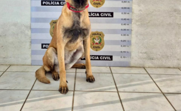 [Vídeo] Operação contra tráfico resulta em sete prisões em Orleans e Criciúma