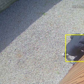 Polícia rastreia Pix e identifica suspeita de vender móveis de casa alugada em SC