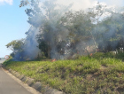 Via Rápida: Fogo em vegetação e o perigo aos motoristas (VÍDEO)