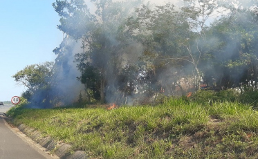 Via Rápida: Fogo em vegetação e o perigo aos motoristas (VÍDEO)