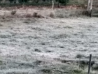 Quinta-feira teve geada na Serra catarinense