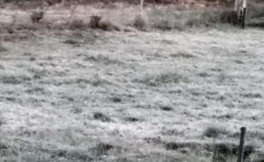 Quinta-feira teve geada na Serra catarinense