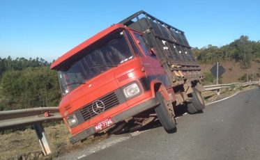 Caminhão com animais quase tomba na Serra do Rio do Rastro 