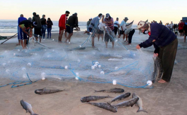 Mais um fim de semana positivo para a pesca da tainha no Rincão