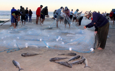 Pescadores do Rincão seguem à espera da chegada da tainha 