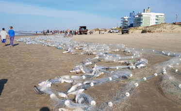 Mar agitado dificulta pesca da tainha na região 