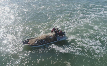 Munidos de drone, pescadores comemoram boa safra no Rincão