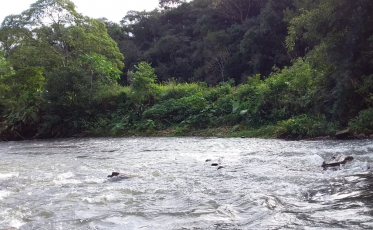Recuperação ambiental dos rios é um desafio na Região Carbonífera