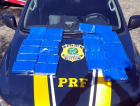 PRF encontra quase 26 kg de cocaína na BR-101 em Içara 