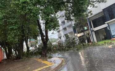Temporal: três mortos e um desaparecido no estado