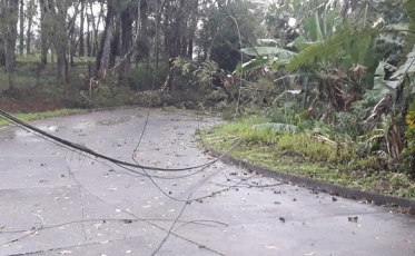 No Sul, maioria das ocorrências é de queda de árvores