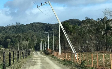 Vendaval: Cooperativas também registram estragos