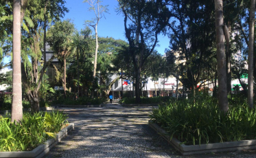 Famcri organiza lives e workshops em comemoração a Semana do Meio Ambiente