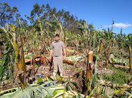 São mais de 3 mil hectares perdidos em Jacinto Machado / Foto: Epagri