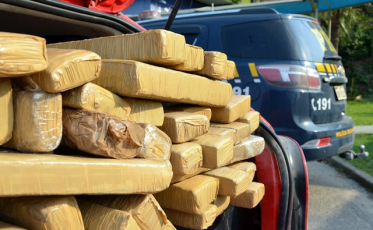 Casal é preso com quase 50 quilos de maconha em Imbituba 