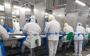 Covid-19: sindicato aponta para centenas de contaminados em frigoríficos da região
