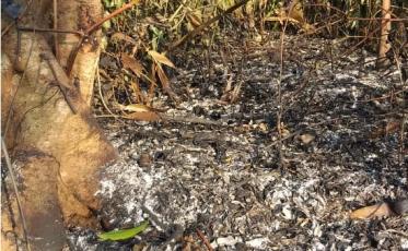 Por 10 metros, fogo não atinge Santuário do Aguaí