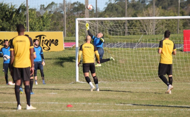 Intensidade no treino do Tigre