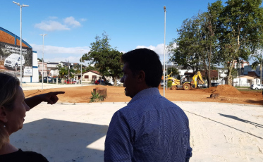 Salvaro sobre corte dos eucaliptos: 