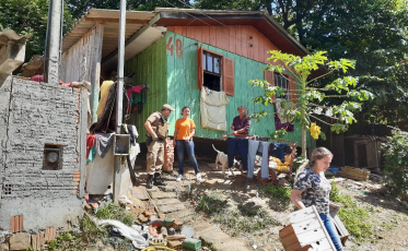 40 cachorros subnutridos e com indícios de maus tratos são recolhidos em residência no bairro Progresso 