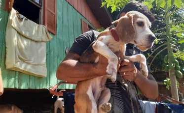 40 cachorros subnutridos e com indícios de maus tratos são recolhidos em residência no bairro Progresso 