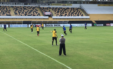 Cavalo testa Carlos César no ataque